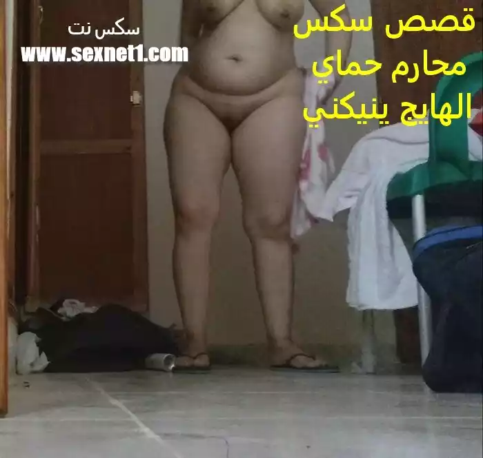 قصص سكس عربي قصص سكس عربي